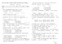 2025-2026学年人教版（2024）三年级数学下册期末综合素养评价卷(全真演练二)(含答案)