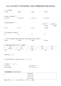 2023~2024学年广东深圳罗湖区三年级上学期期末数学试卷北师大版（有答案解析）