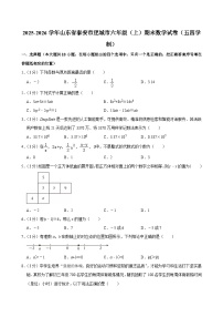 2025-2026学年山东省泰安市肥城市六年级（上）期末数学试卷（五四学制）含答案