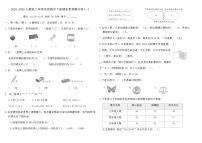 2025-2026人教版三年级年级数学下册期末素养测评卷(一)(含答案)