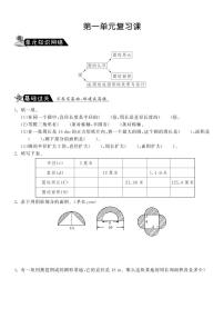 北师大版六年级上册一 圆综合与测试课时训练