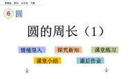 苏教版五年级下册六 圆课文内容课件ppt