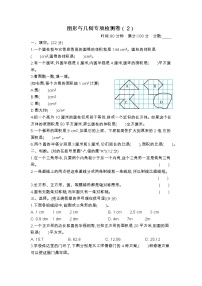 图形与几何专项检测卷（2）（含答案）青岛版（六三制）六年级数学下册