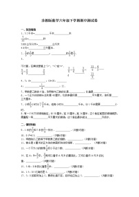 通用版数学六年级下册苏教版数学六年级下学期期中测试卷17