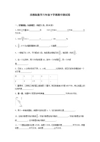 苏教版数学六年级下学期期中测试卷8（含答案解析）
