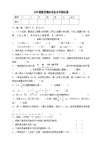 人教版小学六年级数学下册期末试卷  (10)