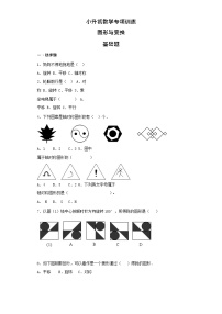 【含详细解析】小升初数学知识专项训练（空间与图形）- 9图形与变换