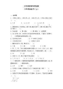 【含详细解析】小升初数学知识专项训练-总复习(2)