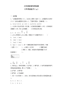 【含详细解析】小升初数学知识专项训练-总复习(6)