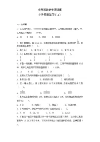 【含详细解析】通用六年级下册小升初数学知识专项训练-总复习(4)