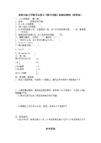 北师大版小学数学总复习《数与代数》检测试题四（附答案）