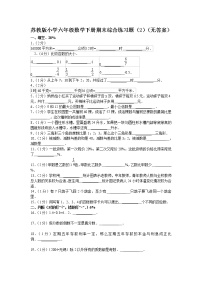 苏教版小学六年级数学下册期末综合练习题（2）（无答案）