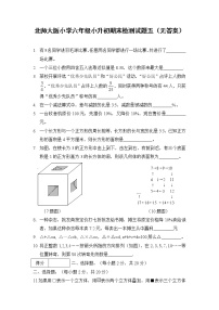 北师大版小学六年级小升初期末检测试题五（无答案）