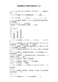 小升初数学模拟试卷（13）--人教新课标（带解析）