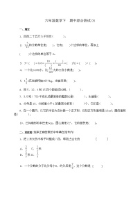 六年级数学下期中测试卷   (14) 无答案