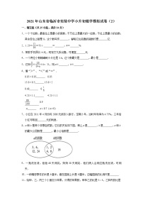 六年级下册数学试题-2021年山东省临沂市实验中学小升初数学模拟试卷（2）（含解析）人教版