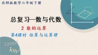 小学数学北师大版六年级下册数与代数复习ppt课件