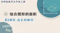 数学2 探索活动:成长的脚印教案配套ppt课件