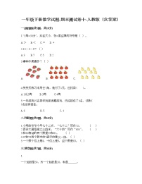 一年级下册数学试题-期末测试卷十-人教版（含答案）