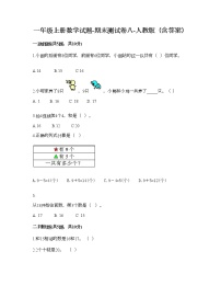 一年级上册数学试题-期末测试卷八-人教版（含答案）