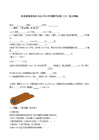 河北省秦皇岛市2021年六年级下册小升初数学试卷（八）北大师版含答案