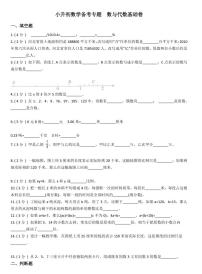 小升初数学专题  数与代数基础卷