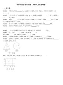 小升初数学专题  图形与几何基础卷