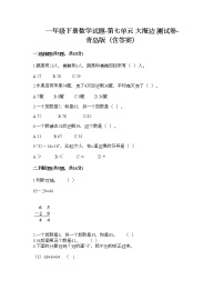 小学数学青岛版 (六三制)一年级下册七 大海边---100以内数的加减法(二)当堂达标检测题