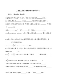 人教版五年级下册数学期末复习卷（一）word版，含答案