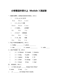 小学英语外研版 (三年级起点)六年级上册Module 3模块综合与测试同步练习题