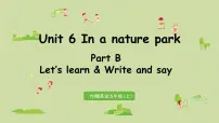 英语五年级上册Unit 6 In a nature park Part B集体备课ppt课件