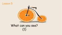2020-2021学年Lesson 5 What can you see?课文ppt课件