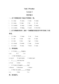 小学Lesson 3习题