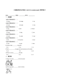 2020-2021学年Unit 6 In a nature park综合与测试同步达标检测题