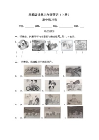 译林版六上英语期中test练习题