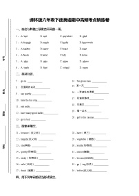 译林版六年级下册英语期中高频考点精练卷（含答案）