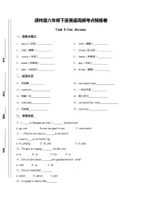 新版-牛津译林版六年级下册Unit 8 Our dreams同步测试题
