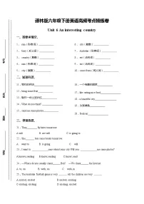 新版-牛津译林版六年级下册Unit 6 An interesting country习题