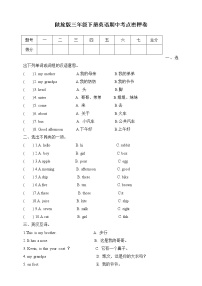 陕旅版三年级下册英语期中考点密押卷 （二）（含答案）