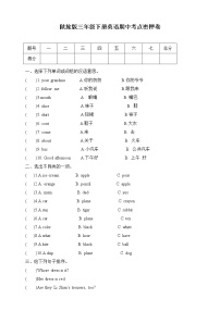 陕旅版三年级下册英语期中考点密押卷 （三）（含答案）