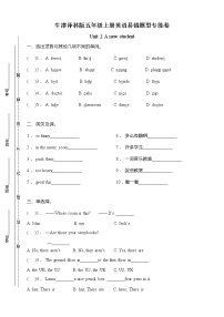 新版-牛津译林版五年级上册Unit 2 A new student精品课时练习