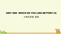 英语Unit 1 Which do you like better?Lesson 4课文配套ppt课件