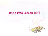 小学英语Lesson 1课文ppt课件