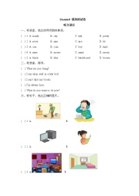 外研版 (一年级起点)六年级上册Module 8模块综合与测试当堂检测题