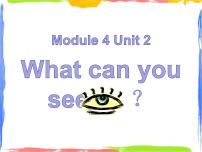 外研版 (一年级起点)三年级上册Module 4Unit 2 What can you see?教案配套ppt课件