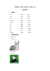 小学英语外研版 (一年级起点)一年级上册Module 5Unit 2 This is a yellow cat当堂达标检测题