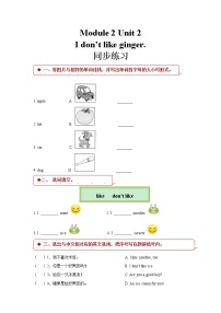 外研版 (一年级起点)二年级上册Module 2Unit 2 I don't like ginger.课后测评