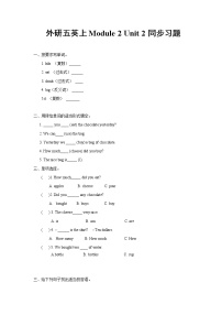 外研版 (三年级起点)五年级上册Unit 2 How much cheese did you buy?复习练习题