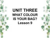 小学英语北京版一年级下册Unit 3 What colour is your bag?Lesson 9完美版ppt课件
