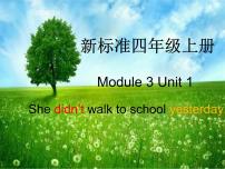 外研版 (一年级起点)Unit 1 She didn’t walk to school yesterday.图片ppt课件